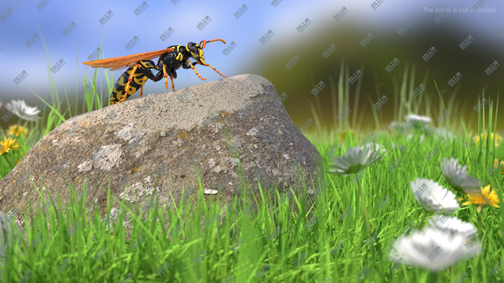 images/goods_img/202104093/3D Paper Wasp Standing Pose/5.jpg